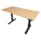 Uncaged Ergonomics RiseUpElectricStandingDesk48X30"BambooDesktopSitStandOffice, RUbb48 RUBB48 - alternate 8